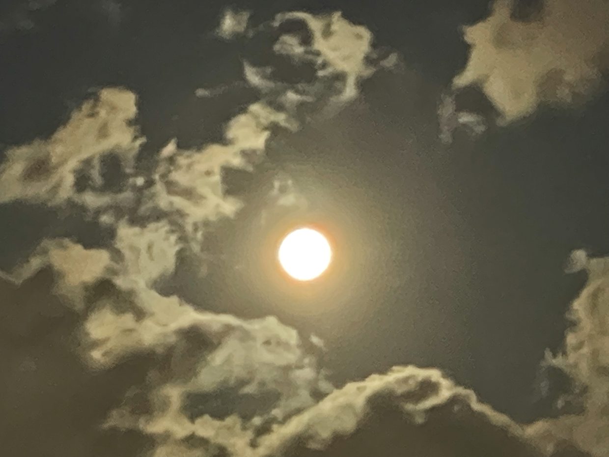 月夜Moonlight night