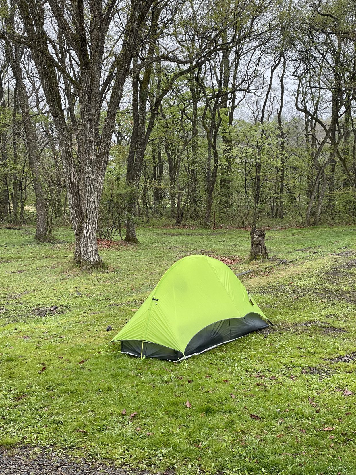 雨上がりのテント場Tent field after the rain