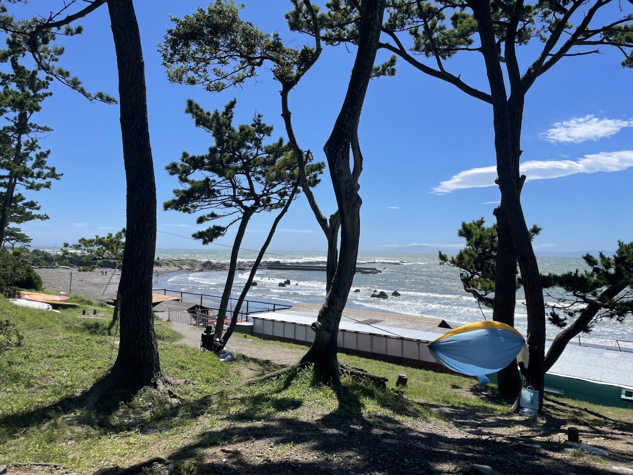 海風に吹かれてBlown by the sea breeze